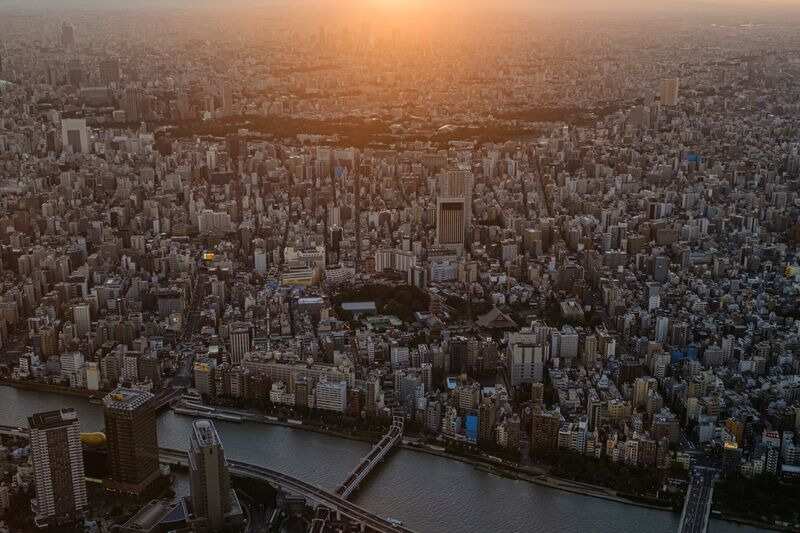 Japan's service sector activity grows at fastest pace in 6 months