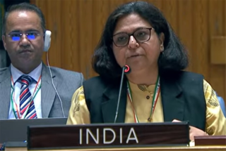 Pak live example of how to evade accountability for genocide, ethnic cleansing: India at UN