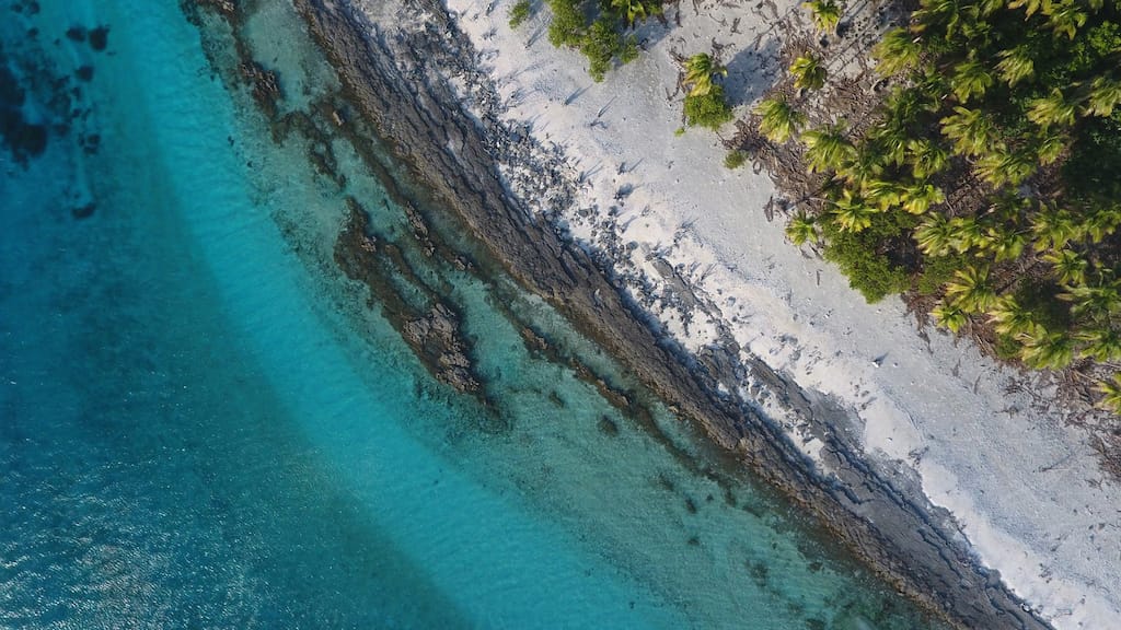 Argentine foundation raises concern: Need to act fast to save oceans