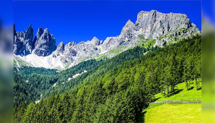 Disappearing snow in the Alps to result in less drinking water