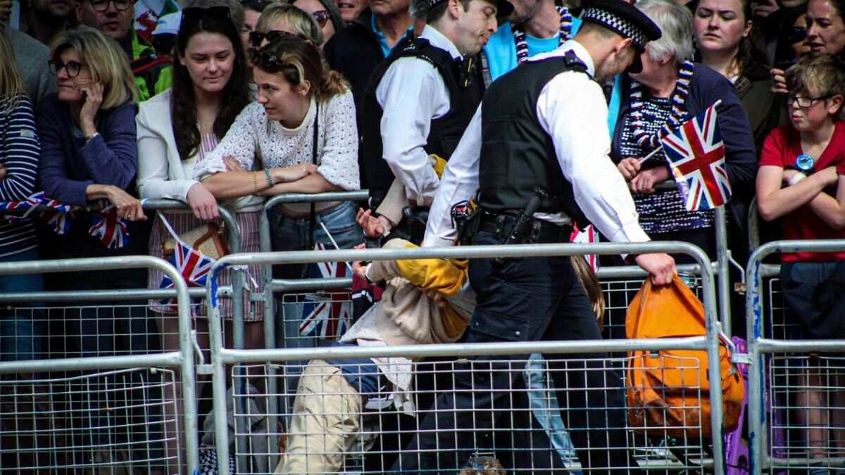 12 protestors arrested