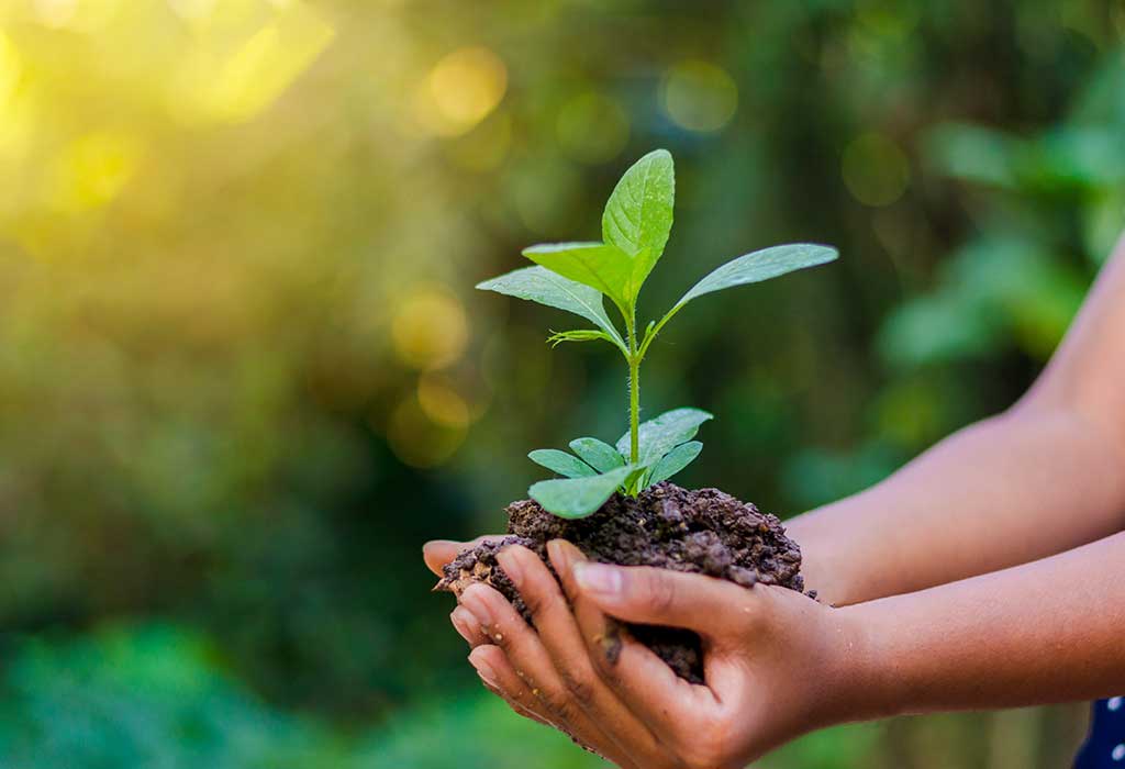 World Environment Day: Impact of climate change all around us