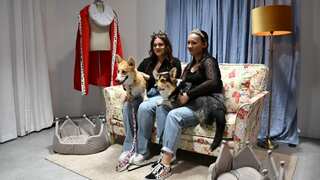 'Corgi Cam' pop-ups set up in London as Queen Elizabeth II celebrates her Platinum Jubilee