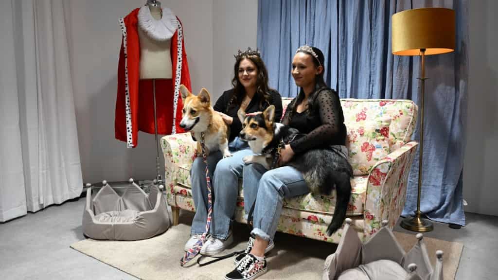 'Corgi Cam' pop-ups set up in London as Queen Elizabeth II celebrates her Platinum Jubilee