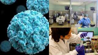 Explainer: What is norovirus detected in Indian state of Kerala? Read details here