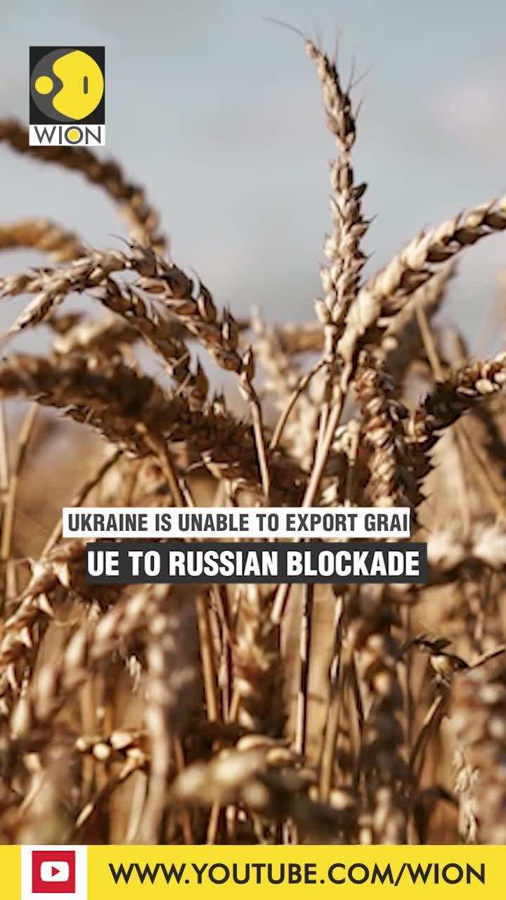 ‘Volume of grains could triple’: Ukraine warns after Russian blockade of export
