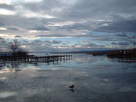 'SOS Neusiedl Lake' event in Austria