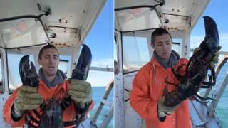 WATCH: A man in United States catches a gigantic lobster. Is it 100 years old?