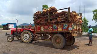 India's May palm oil imports surge to 7-month high despite Indonesia's ban-dealers