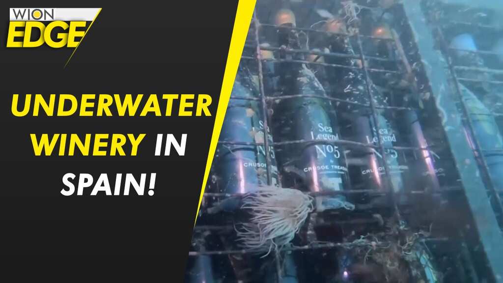Underwater treasure or empty bottles, no! it’s an underwater winery!