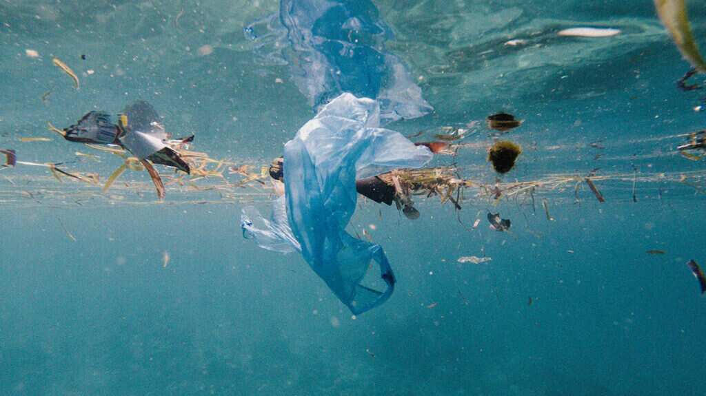 World Oceans day 2022: Greek Island cleans up Marine debris