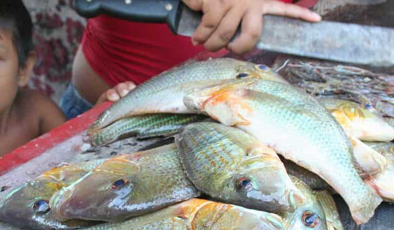 Exclusive: Marine debris plagues Guanabara Bay, fishermen turn to ocean cleaning