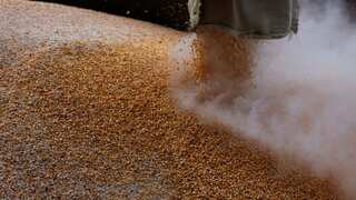 Ukraine war: Turkiye backs Russian demand for grain exports