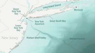 White House announces new national marine sanctuary to preserve Hudson Canyon