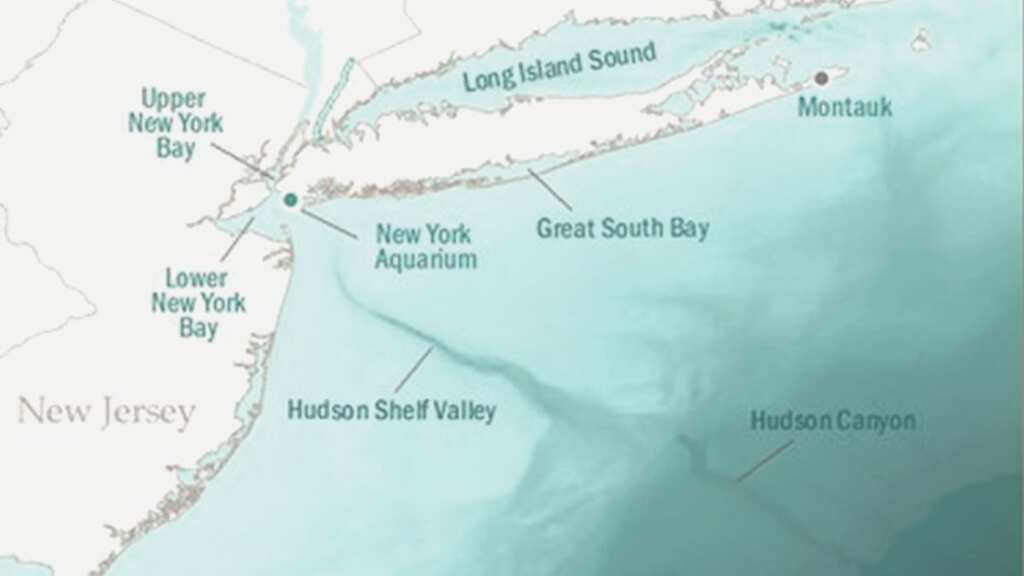 White House announces new national marine sanctuary to preserve Hudson Canyon
