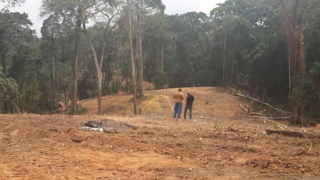 Impact of decades of deforestation in Nigeria