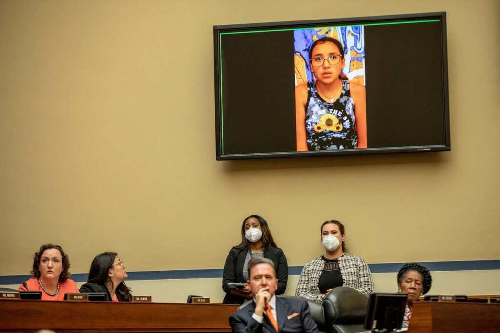 Gun violence survivor recounts ordeal at US House panel hearing on gun violence