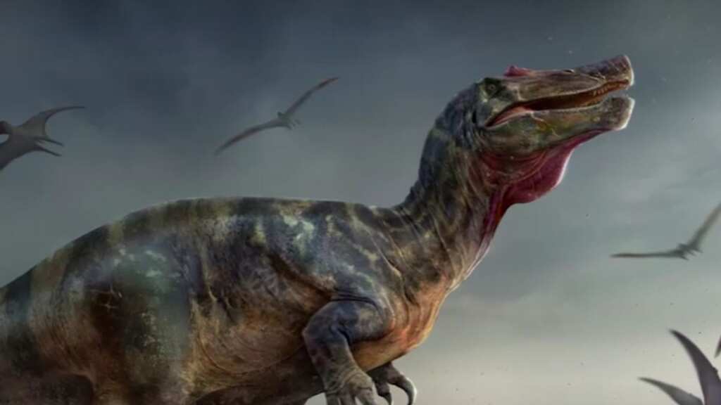 Europe's largest meat-eating crocodile-faced dinosaur found