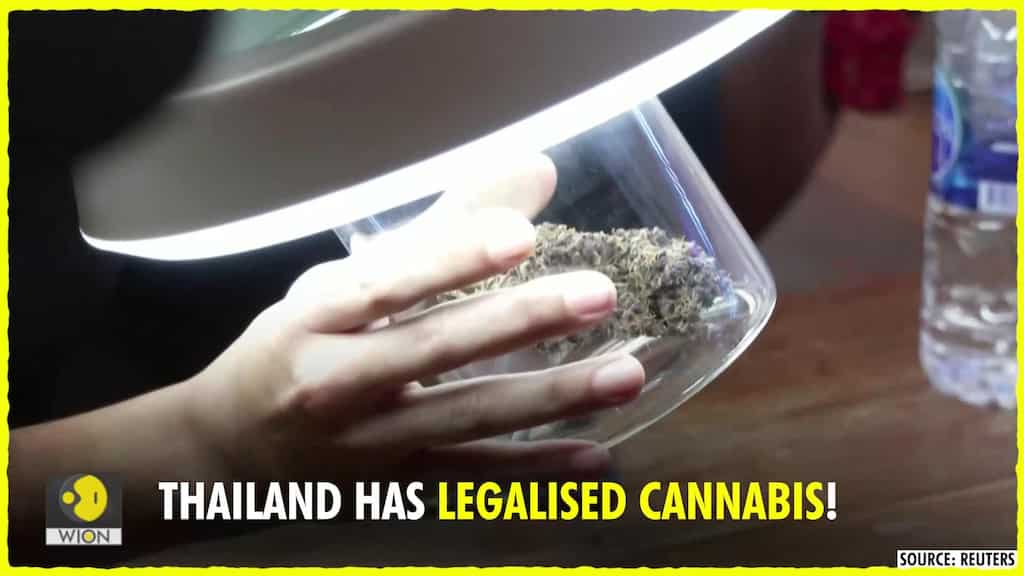 Thailand legalises cannabis – What does this mean? Are there restrictions on use?