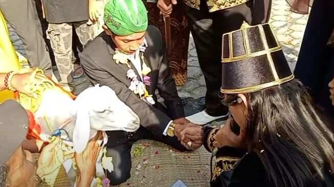 Watch: In the aim of going viral, an Indonesian man 'marries' a female goat