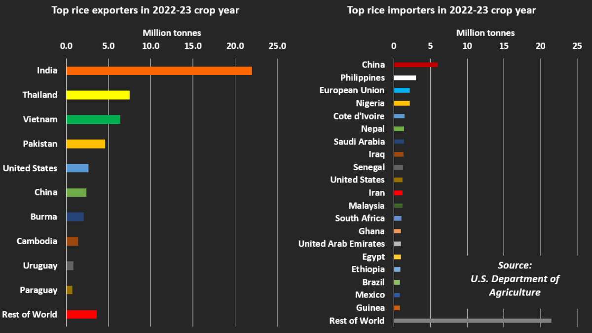 Who will suffer the most if India restricts rice exports?