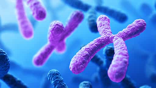 1 in 500 men carry extra sex chromosome, putting them at great risk for diseases: Study 1 in 500 men carry extra sex chromosome, putting them at great risk for diseases: Study