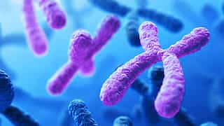 1 in 500 men carry extra sex chromosome, putting them at great risk for diseases: Study