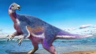 New dinosaur species found in Japan; had massive sword-like claws