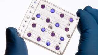 NASA is sending yeast to space to gauge impact of electromagnetic radiation on DNA