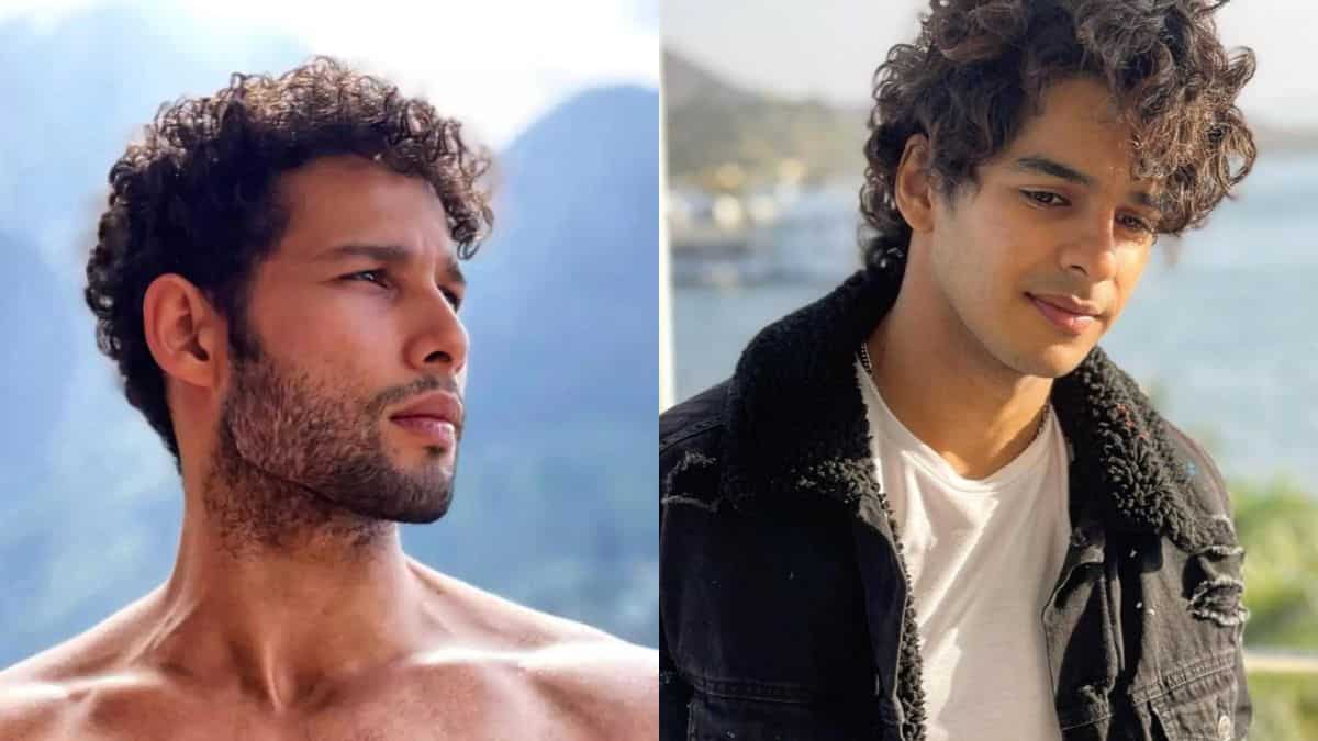 Ishaan Khattar questions 'mystery woman' in Siddhant Chaturvedi's quirky video Ishaan Khattar questions 'mystery woman' in Siddhant Chaturvedi's quirky video