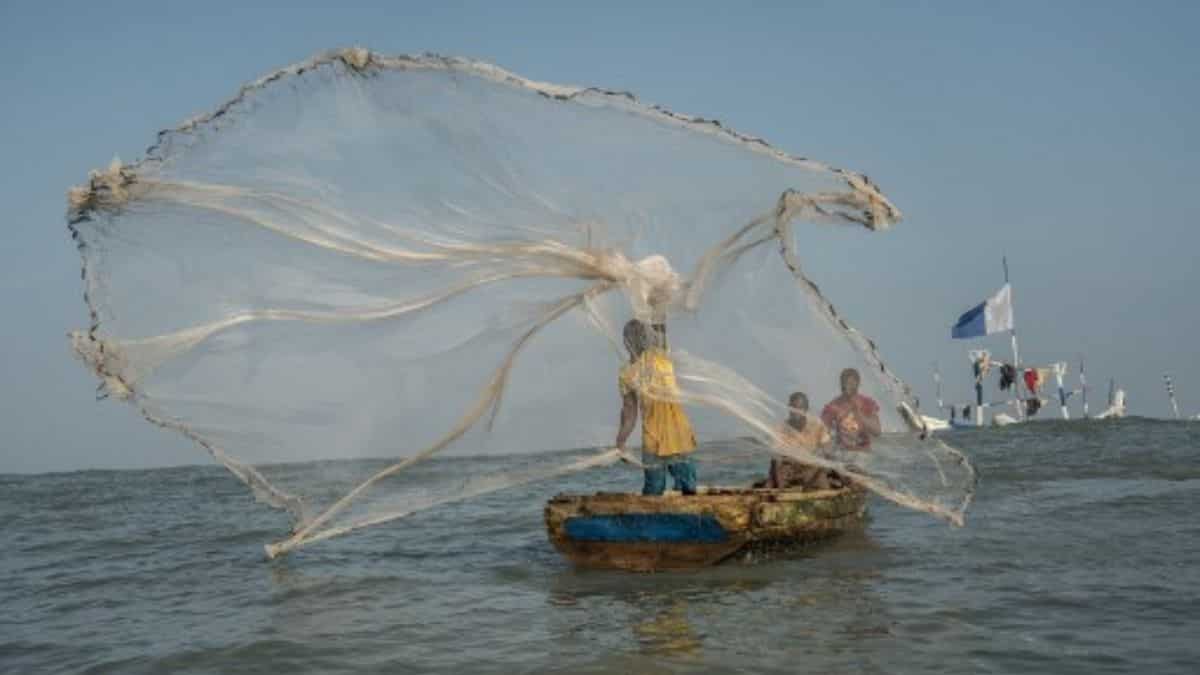 Fisheries subsidies