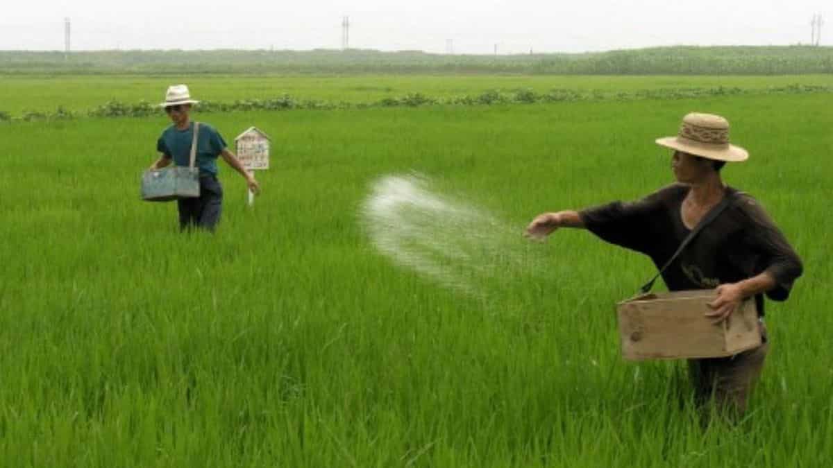 Agriculture and food aid