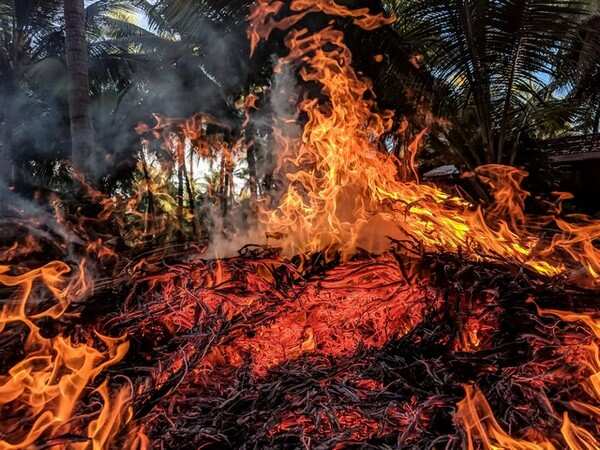 Over 14,430 acres damaged due to wildfires in Khyber Pakhtunkhwa in fortnight: Report