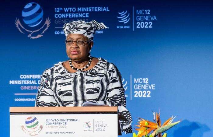 12th WTO Ministerial conference: Looming food crisis on the agenda