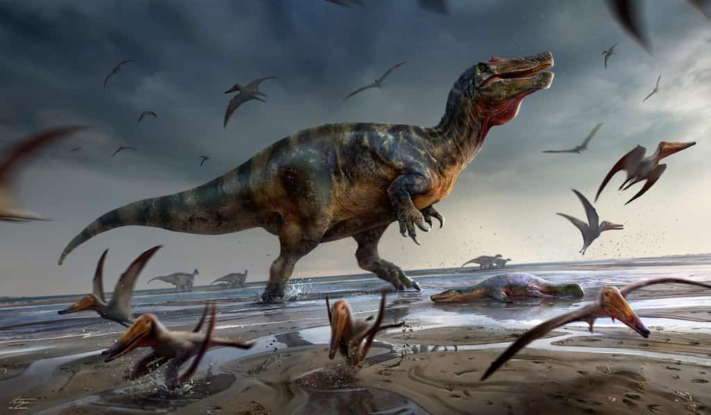 A dinosaur that lived 125 million years ago: Europe's largest dinosaur unearthed