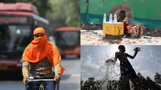 Severe heatwave: Indian capital witnesses 25 days with max temp over 42 degrees Celsius this year