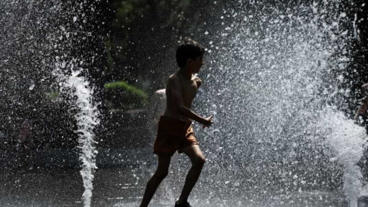 France's state forecast department anticipates heatwave to hit country early this year