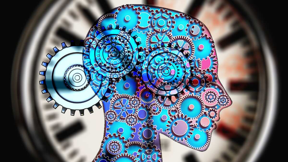 Tech that predicts future? Digital twins to soon become a reality