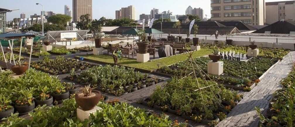 Adapting city life to climate change