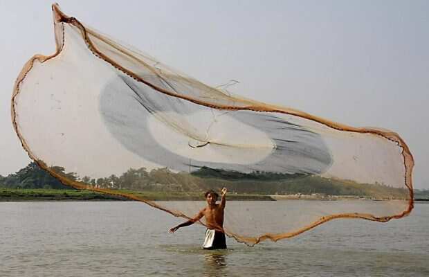 Fisheries subsidies divides WTO members