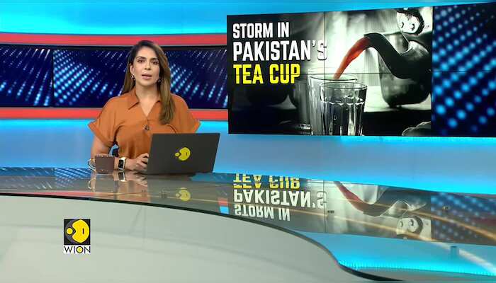 Pakistan minister urges public to consume less tea to reduce high import bills'