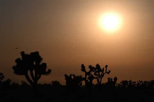 Scorching heat in many parts of the US