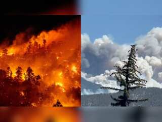 In pics: Sheep fire flames engulf dense vegetation in southern California
