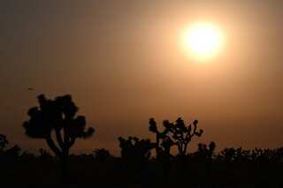 Historic heatwave scorches US: When is it expected to end?