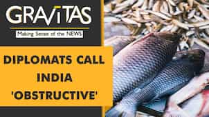 Gravitas: India fights for fishery subsidies at WTO meeting