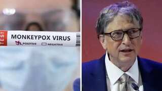 Morning news brief: WHO probes if monkeypox can be sexually transmitted, Gates not a fan of crypto and more