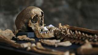 Researchers unravel 700-year-old mystery of origins of deadly pandemic 'Black Death'