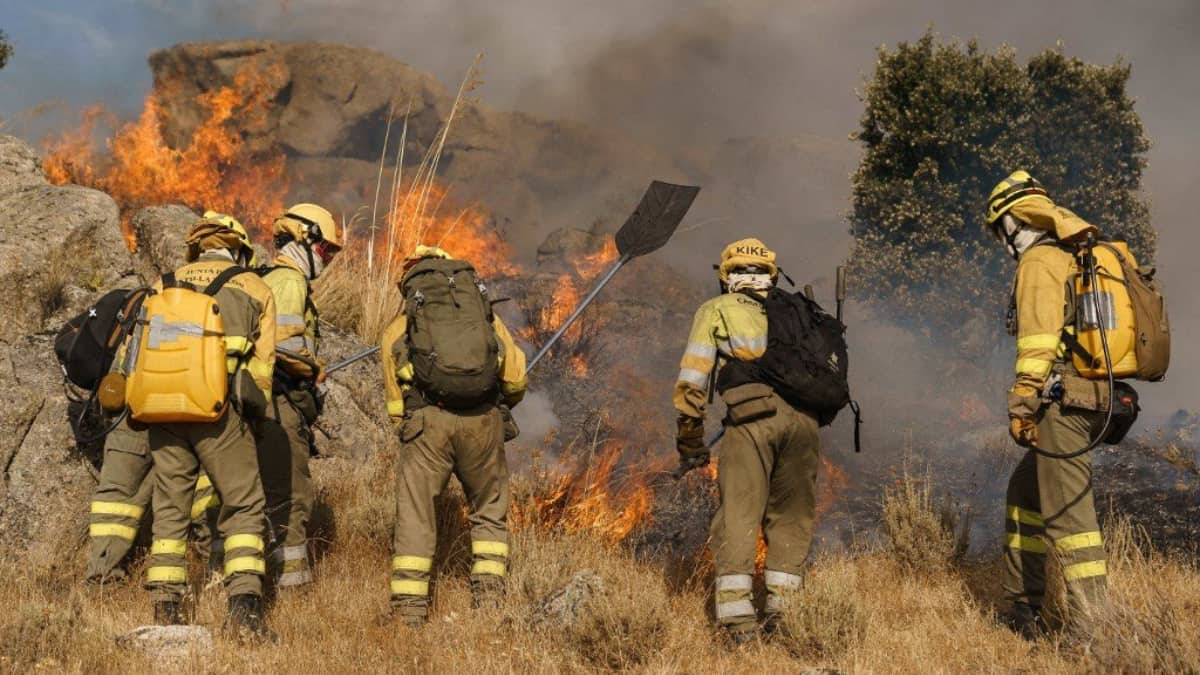 Fires may devastate 20,000 hectares
