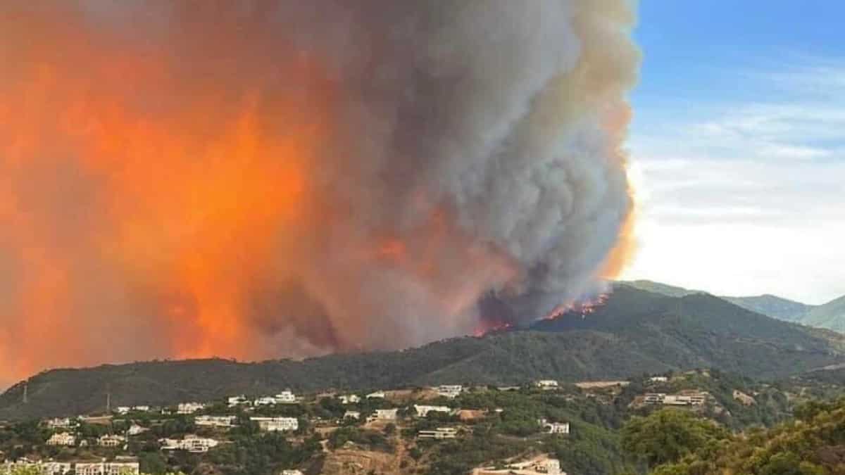 Huge wildfires