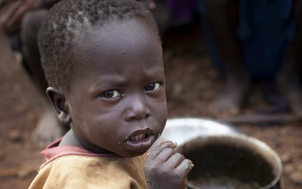 Sudan Hunger Crisis: Urgent agricultural aid required